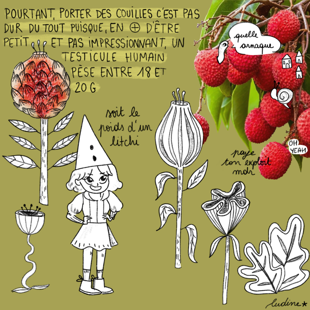 Pourtant, porter ses couilles n'est pas dur du tout puisque, en + d'être petite pas impressionnant, un testicule humain pèse entre 18 et 20g. soit le poids d'un litchi. quelle arnaque. paye ton exploit mdr